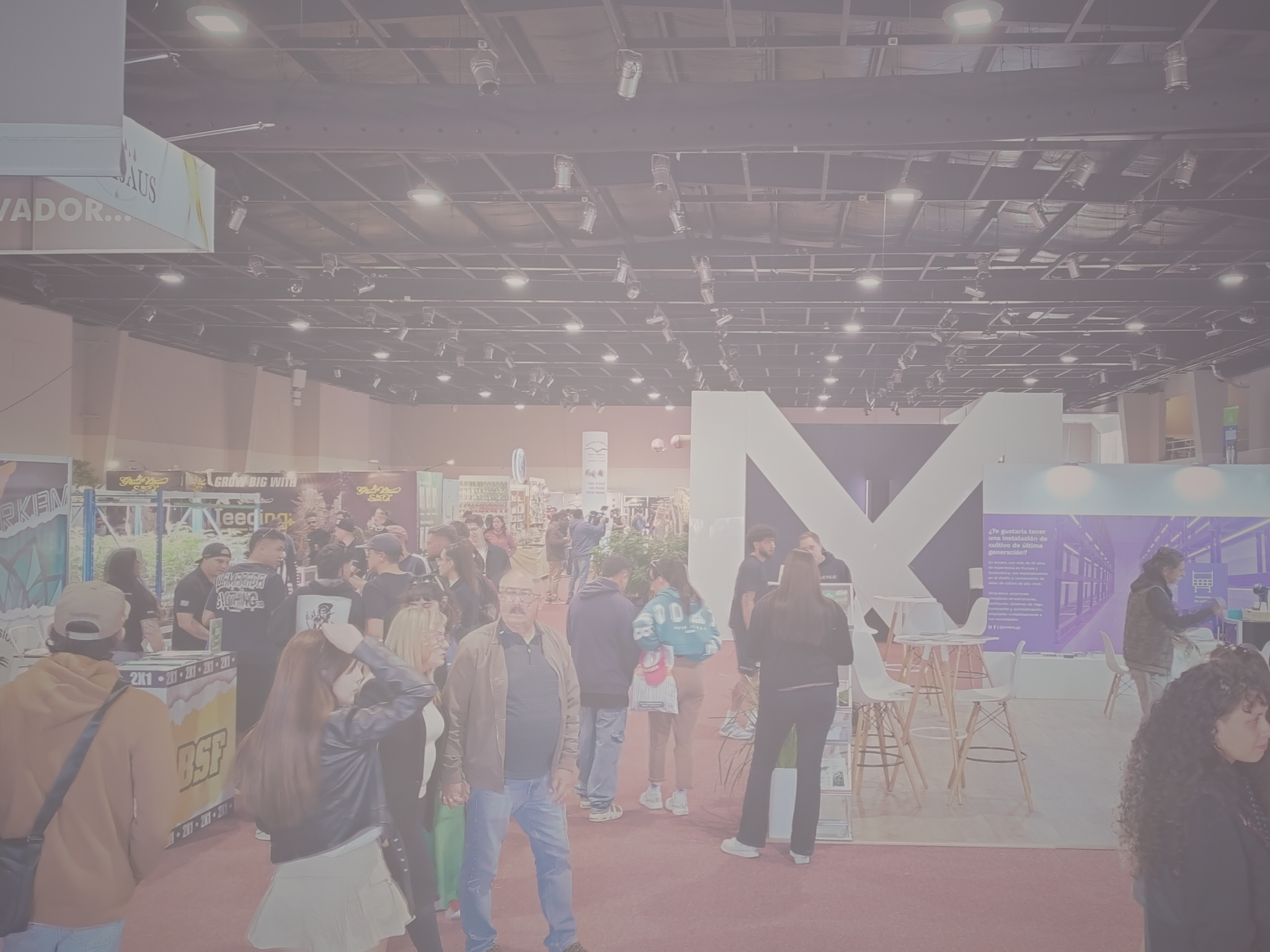 Utilizar BeeBase App para gerenciar seu comércio.